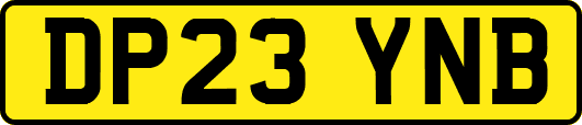 DP23YNB