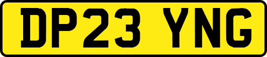 DP23YNG