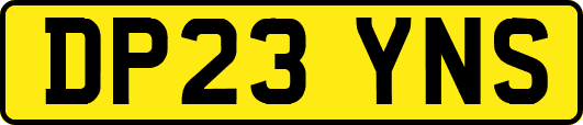 DP23YNS