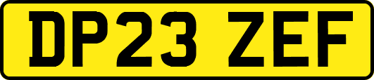 DP23ZEF