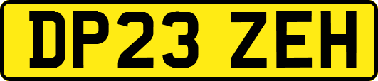 DP23ZEH