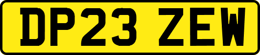 DP23ZEW