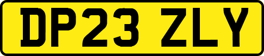 DP23ZLY