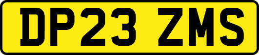 DP23ZMS
