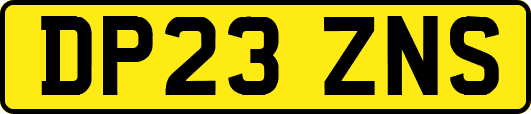 DP23ZNS