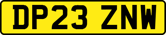 DP23ZNW