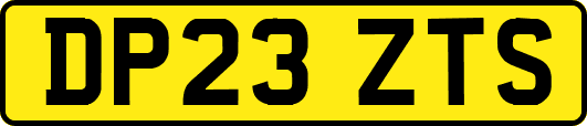 DP23ZTS