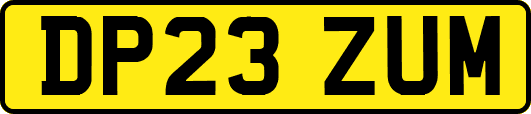 DP23ZUM