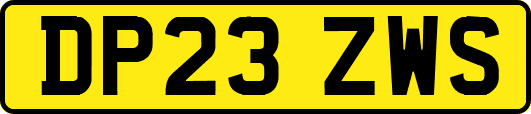 DP23ZWS