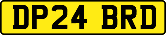 DP24BRD