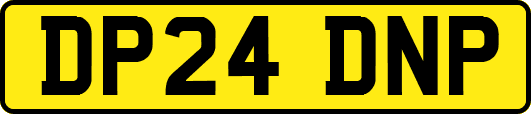 DP24DNP