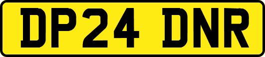 DP24DNR