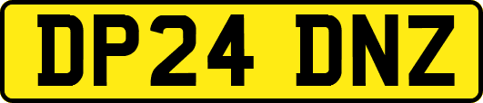 DP24DNZ