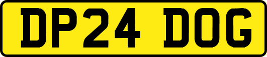 DP24DOG