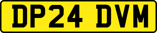 DP24DVM