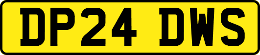 DP24DWS