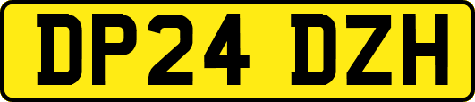 DP24DZH