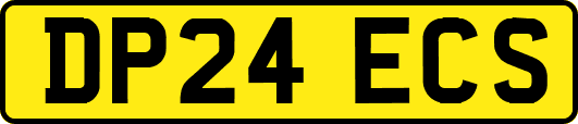 DP24ECS