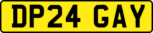 DP24GAY