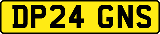 DP24GNS