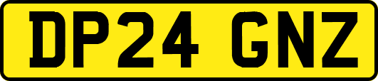 DP24GNZ