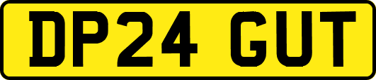 DP24GUT