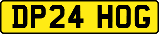 DP24HOG