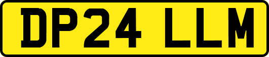 DP24LLM