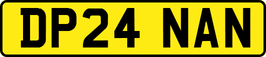 DP24NAN