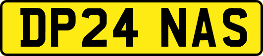 DP24NAS