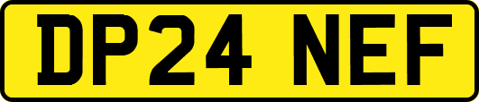 DP24NEF