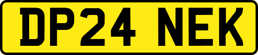 DP24NEK