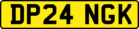 DP24NGK