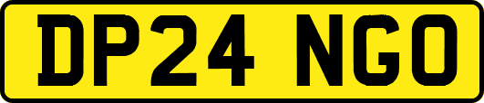 DP24NGO