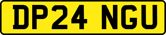 DP24NGU