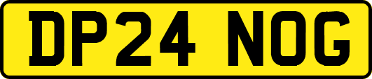 DP24NOG