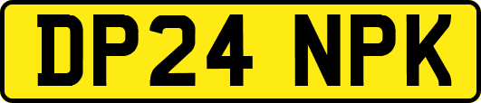 DP24NPK