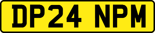 DP24NPM