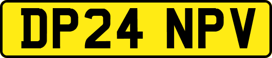 DP24NPV