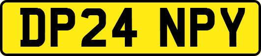 DP24NPY