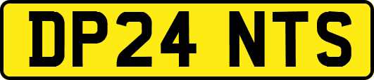 DP24NTS