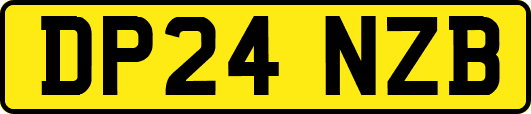 DP24NZB