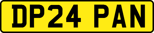 DP24PAN