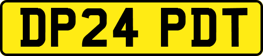 DP24PDT