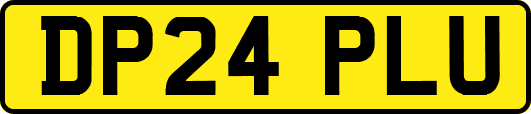 DP24PLU