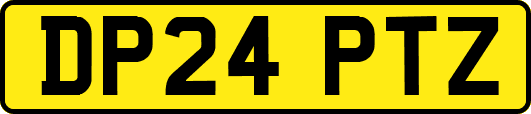DP24PTZ