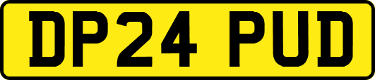 DP24PUD