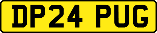 DP24PUG
