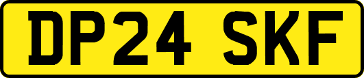 DP24SKF