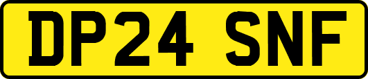 DP24SNF
